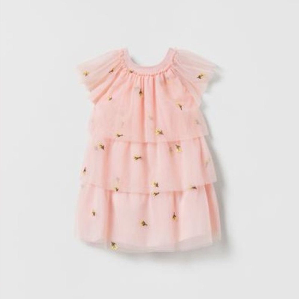 Zara Floral Embroidered Tulle Dress 18-24 Mo